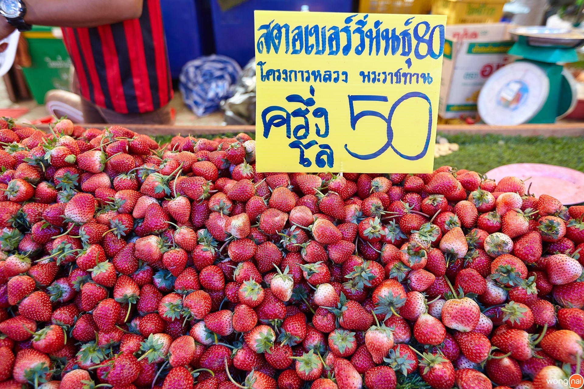 งานเกษตรสุรนารี 61