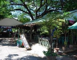 รูปจากเวป