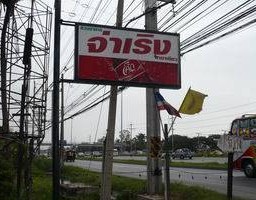 รูปจากเวป