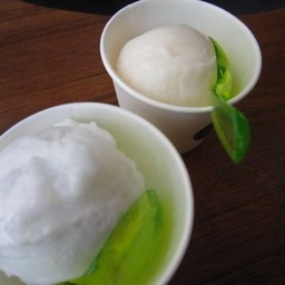 เกลือ ยาคูล