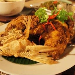 บ้านต้นปาล์ม (House Of Palm)