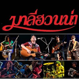 พบกันแน่นอนกับมาลีฮวนน่า 20 ก.ค นี้