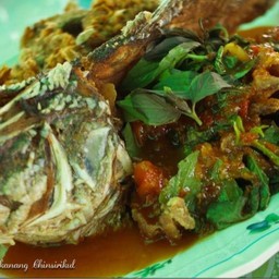 ปลาสองหน้า