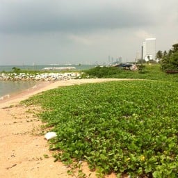 ริมหาดขอร้าน