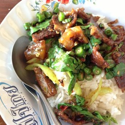 ผัดกระเพราเนื้อเปื่อย