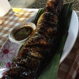 โครตปลาดุกย่าง(ใหญ่เฟ่อร์)