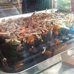เนื้อไก่ฉีก