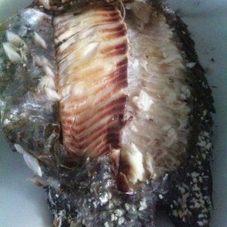 ปลานิลเผา