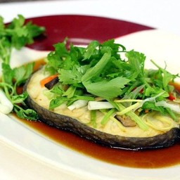 กระต่ายขาว ซีฟู้ด