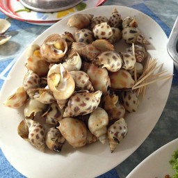 หอยหวานเผา