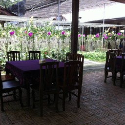 บรรยากาศ 4 สวนกล้วยไม้