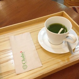 Hot Green Tea No Sugar Added