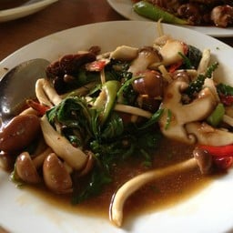 ครัวชัยชนะแอนด์ชลลดา
