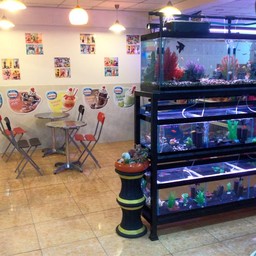 ในราคาย่่อมเยาว์