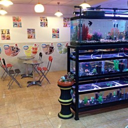 บรรยากาศภายในร้าน