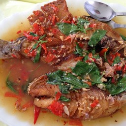 ปลาเหลือวปากขวดสามรส