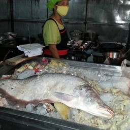 สดใหม่มีไว้ต้อนรับ