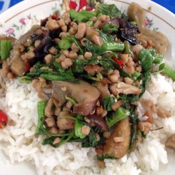 ข้าวราดกระเพาะเจ