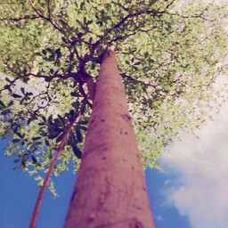 มุมที่คุณต้องสัมผัส