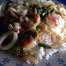 กระเพราปลาหมึกไข่ดาว