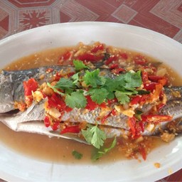 ปลากระพงนึ่งมะนาวจ้า