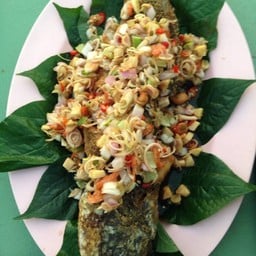 ปลาช่อนโบราณ