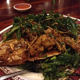 เรือนวนิชชา