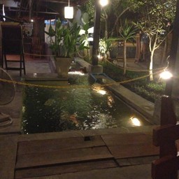 บ่อปลาหน้าร้าน