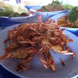 ปูทอดใบเตย