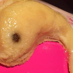 เค้กปลาช่อน