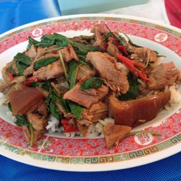 ก๋วยเตี๋ยวเนื้อปลา ดอลลี่ บางบอน 4
