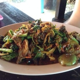 หนูพุกขั้ว