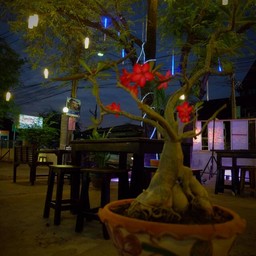 บรรยากาศร้านชิวๆดีคับ