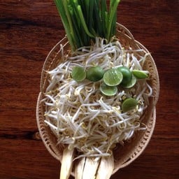 เครื่องเคียง ถั่วงอก หัวปี มะนาว จัดมาให้ชุดใหญ่เลยคับ