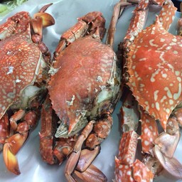 ปูม้าตัวใหญ่ อร่อย