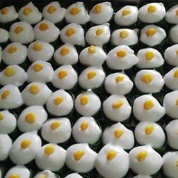 มีตะโก้หวานมันอร่อยเสิร์ฟด้วย