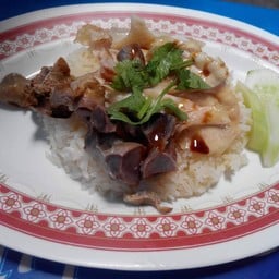ข้าวมันไก่บ้าน-ทุ่งลุง (โกฉิก)
