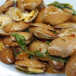 ต้นผัก
