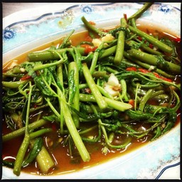 กระเฉดไฟแดง