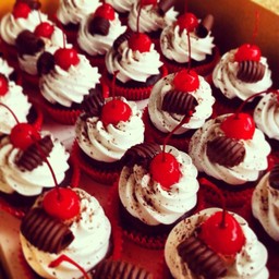 Double Chocolate Cupcakes