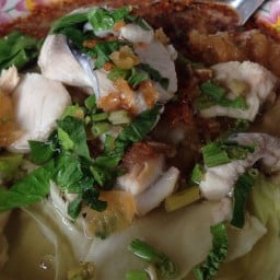 ก๋วยเตี๋ยวสี่แยกประแสร์