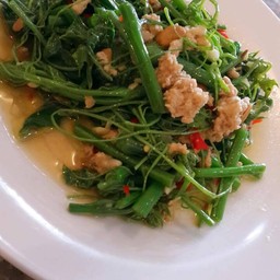 ผัดยอดฟักแม้ว