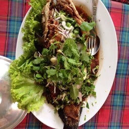 ลาบปลาช่อน