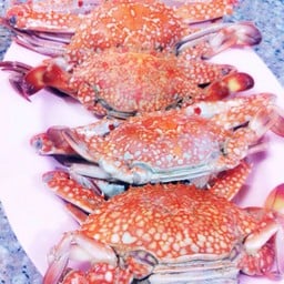 ปูม้านึ่ง