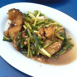 ปลาช่อนทอดกรอบผัดคื่นช่าย อร่อยมาตรฐานค่า