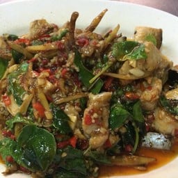ปลาบึกผัดฉ่า