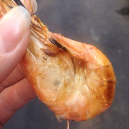 กุ้งเผา เพชรบุรีซอย 5