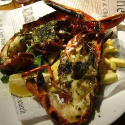 Belgo