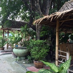 ใต้ต้นจัน