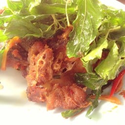 ปลาดุกพริกแกงกระเพรากรอบ